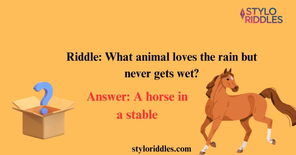 horse riddles