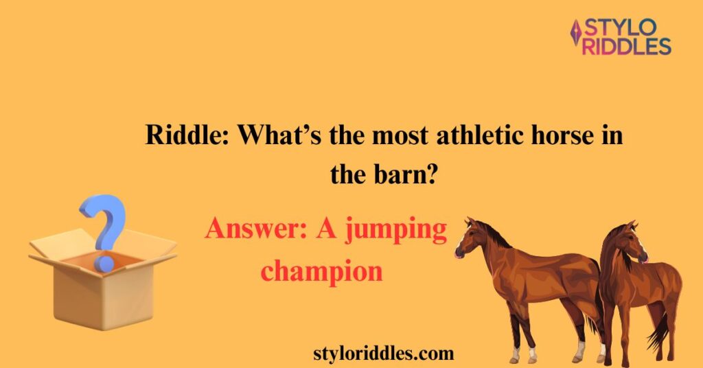 horse riddles and jokes