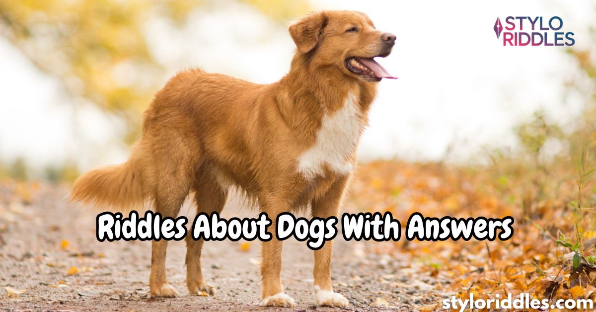 150+ Riddles About Dogs With Answers