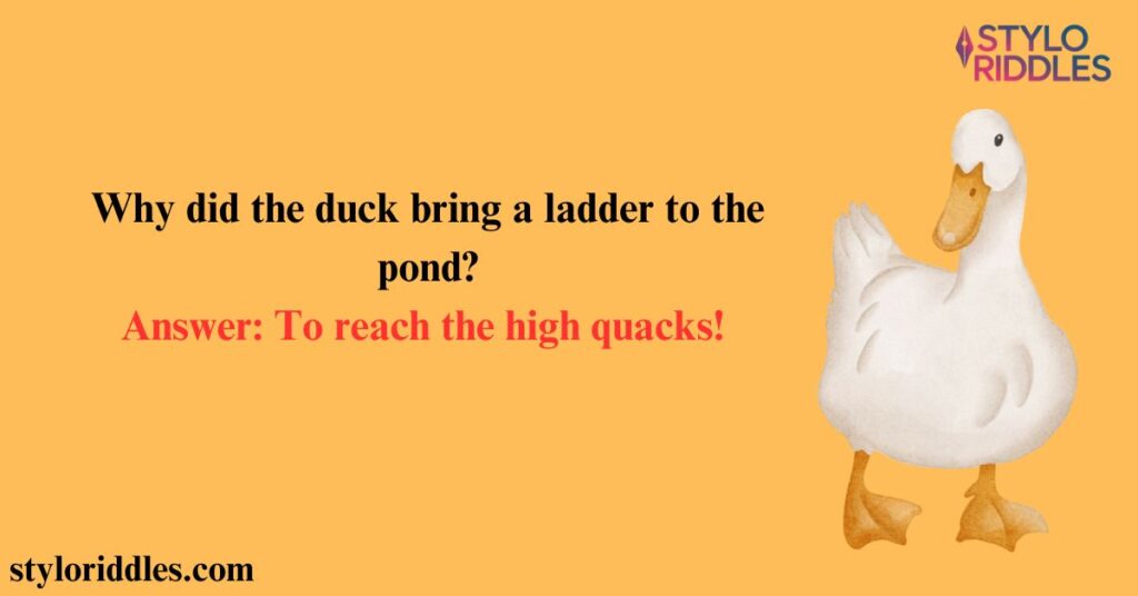 Cheerful Duck Riddles