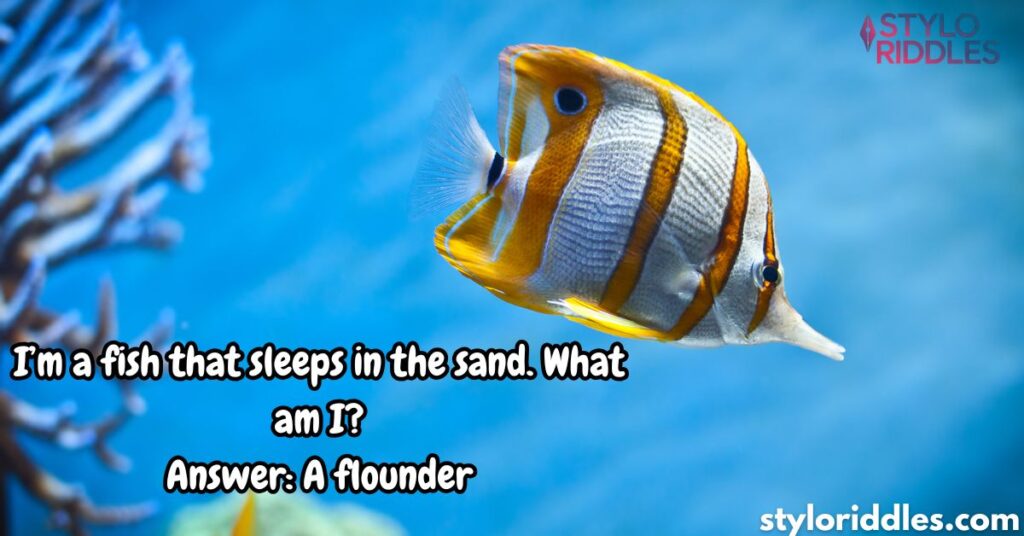 Curious Riddles About Sea Creatures