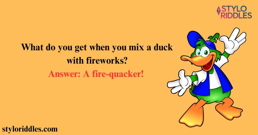 Duck Riddles