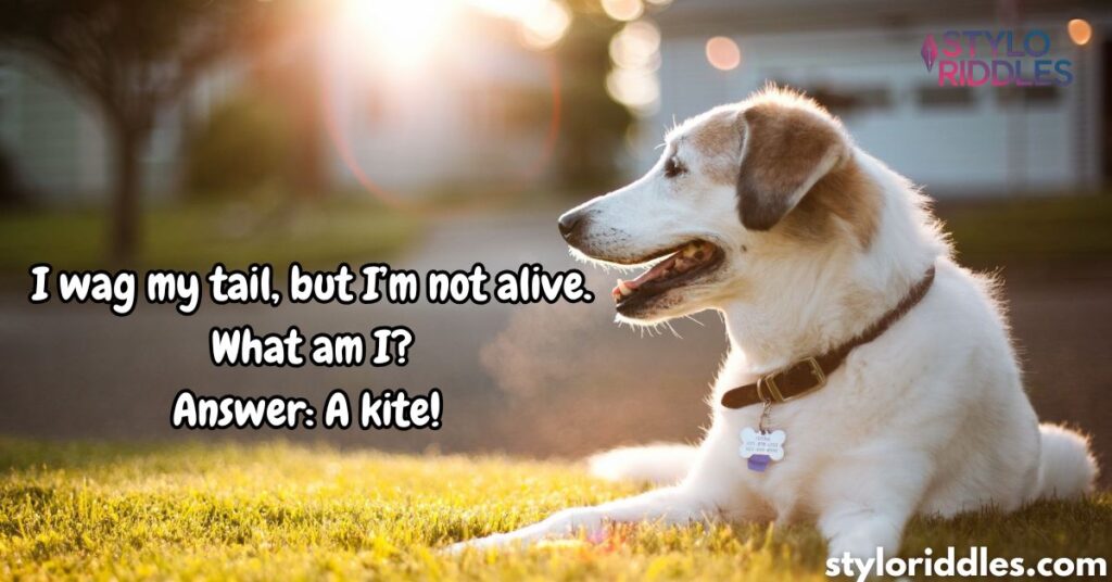  Riddles About Dogs With Answers