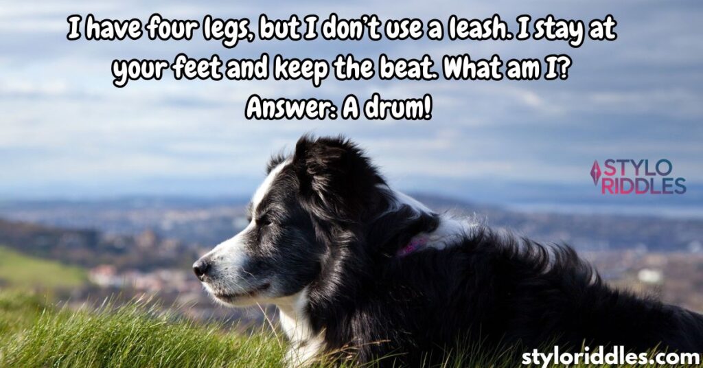 Riddles About Dogs With Answers