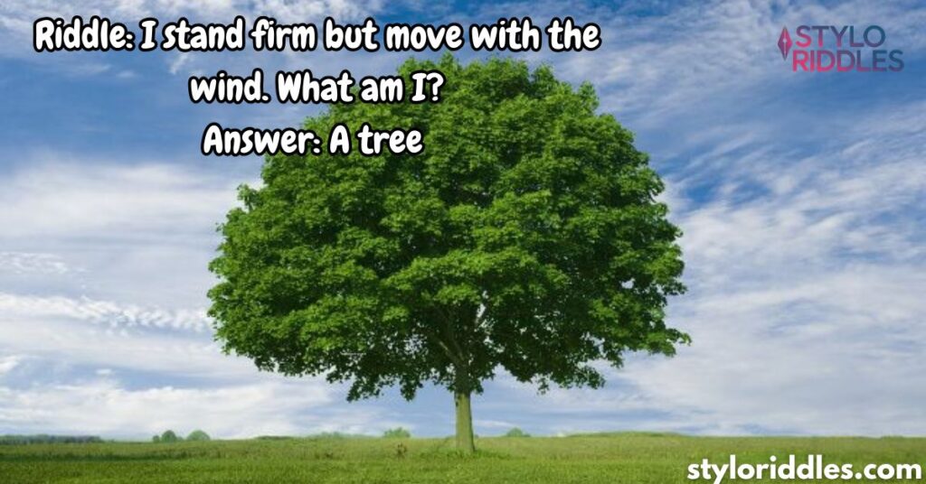 Riddles About Tree With Answers