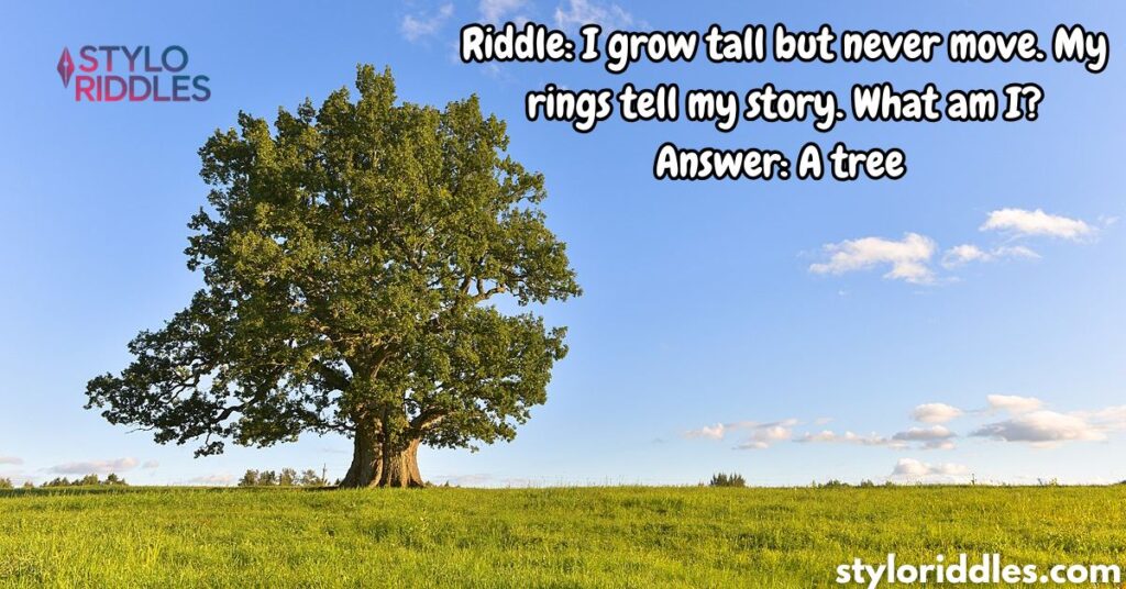 Riddles About Tree With Answers