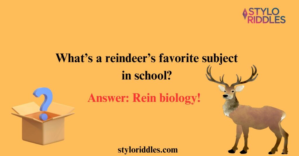 reindeer riddles