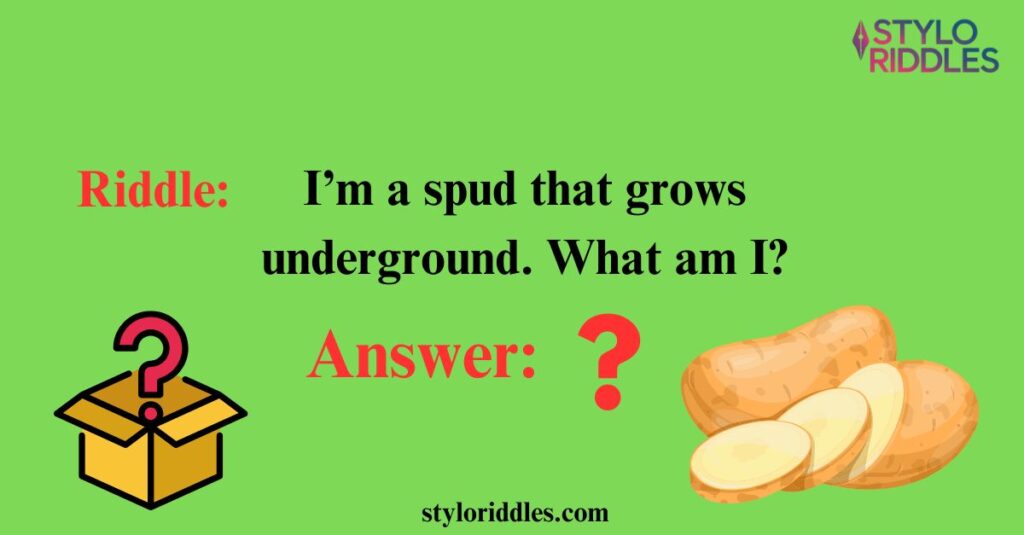 Potato Trivia Riddles