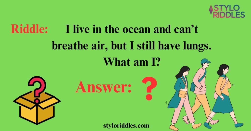 riddle for adults