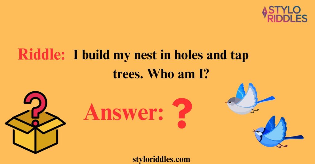 riddles about birds