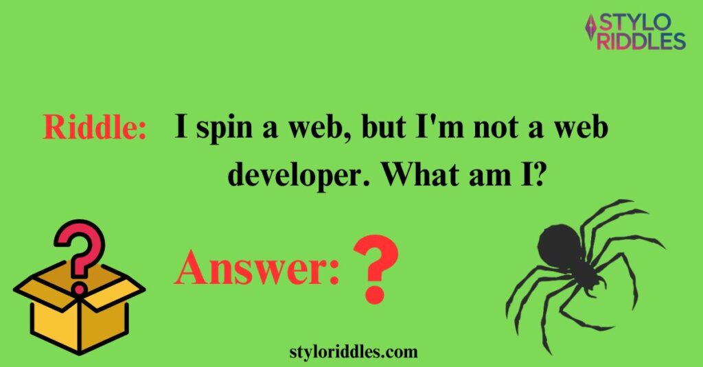 Best Spider Riddles to Share with Friends