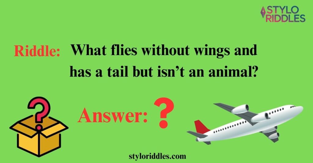 Cloudy Conundrums Mystifying Air Travel Riddles