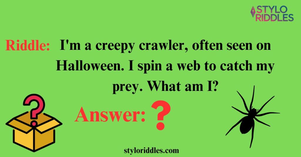 Creative Spider Riddles for Halloween