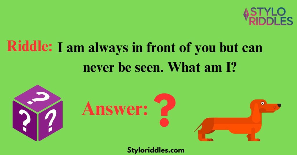 Decipher the Mystery Long Riddles for Adults with Answers