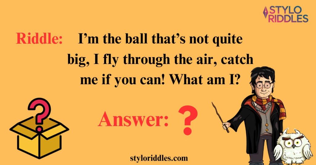 Riddles from the Wizarding World of Quidditch