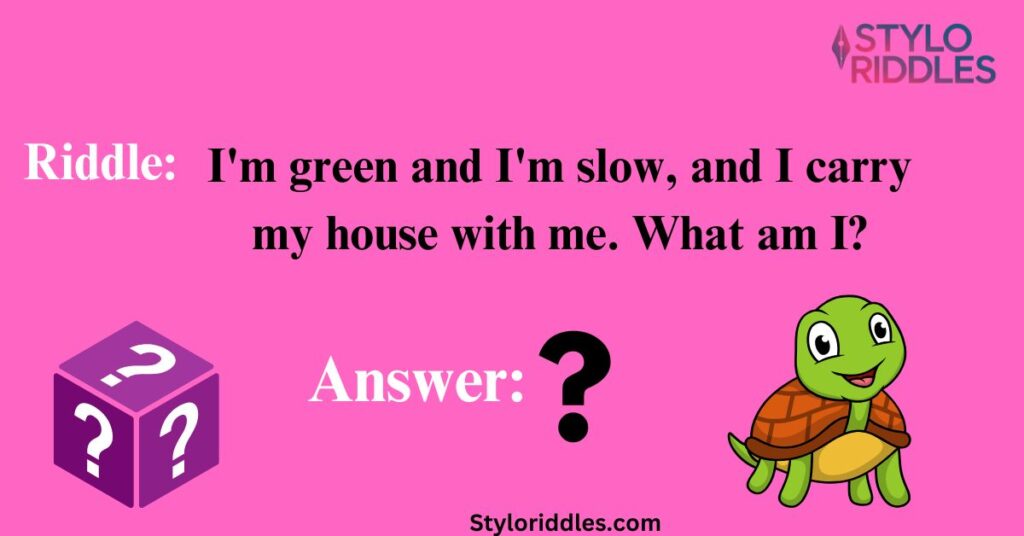 Turtle Riddles for Kids Fun Shell Games for Young Minds