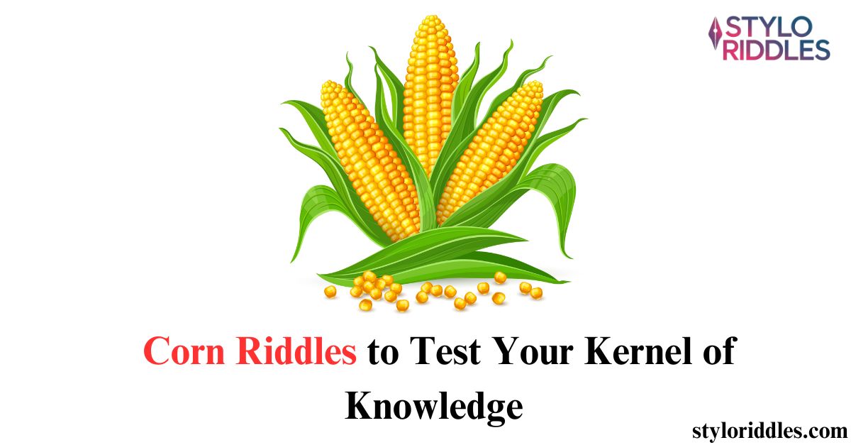 corn riddle