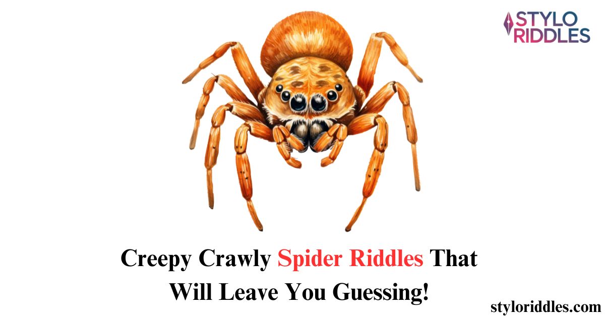 spider riddles