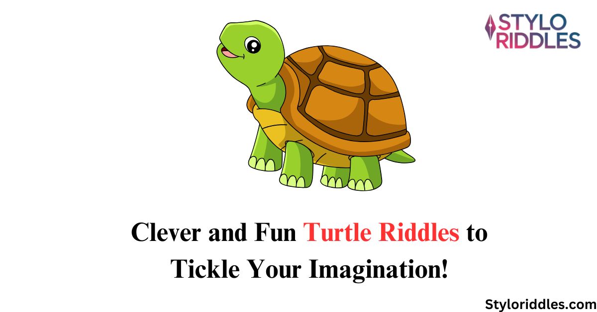 turtle riddles