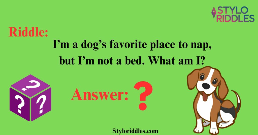 Pawsome Puzzlers Riddles to Test Your Canine Knowledge