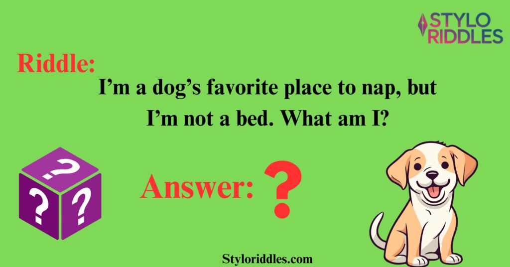 Unleash Your Brainpower with Adults Dog Riddles